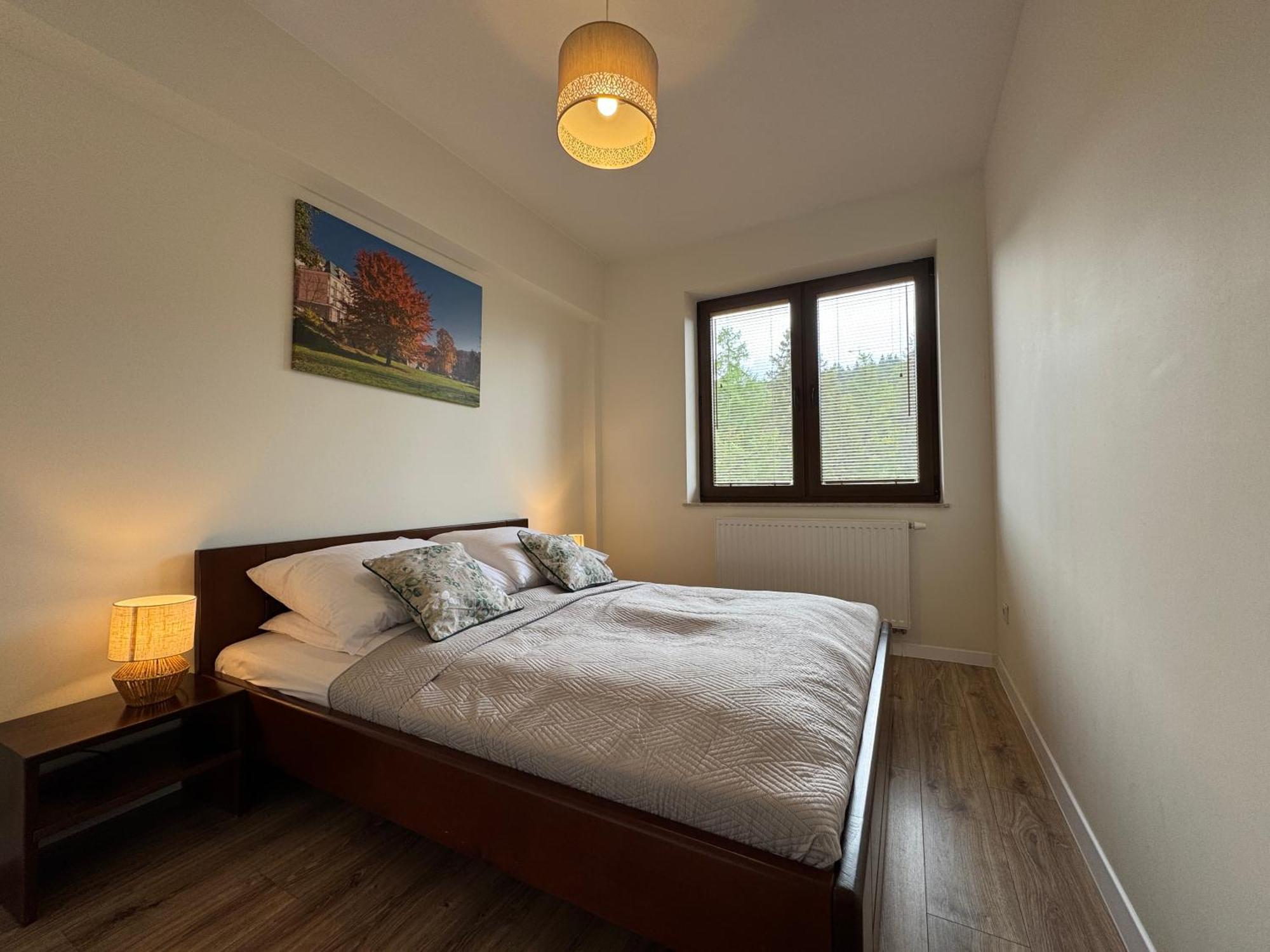 Apartamenty City Center - Zdrojowe Krynica Zdroj Værelse billede